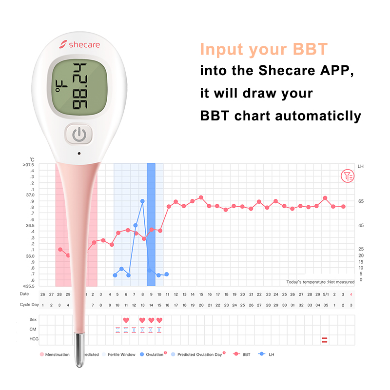 https://www.shecarehealth.com/uploads/image/20210518/14/high-accuracy-digital-thermometer4.jpg